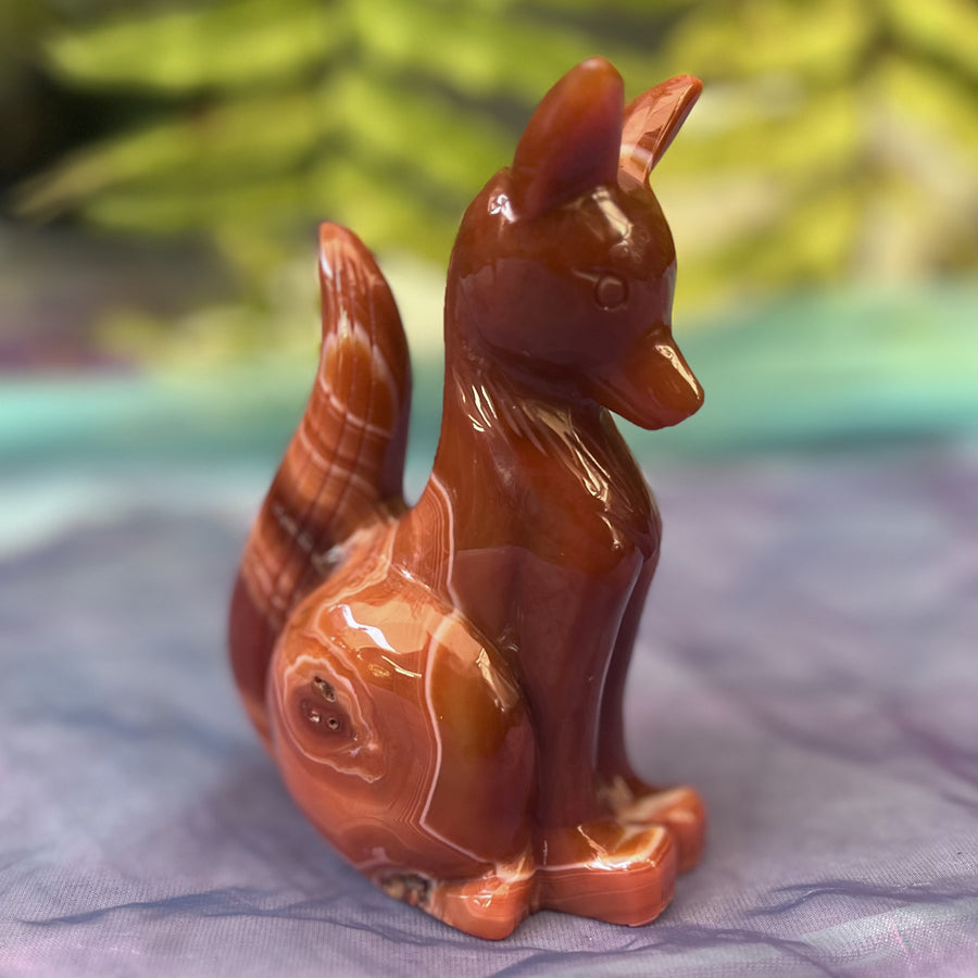 Fox Red Sardonyx 12.8 cm | Carpe Diem with Remi