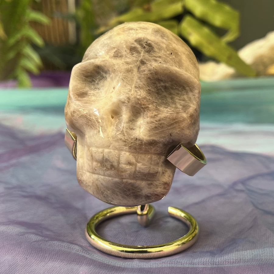 Skull Moonstone on Stand | Carpe Diem with Remi
