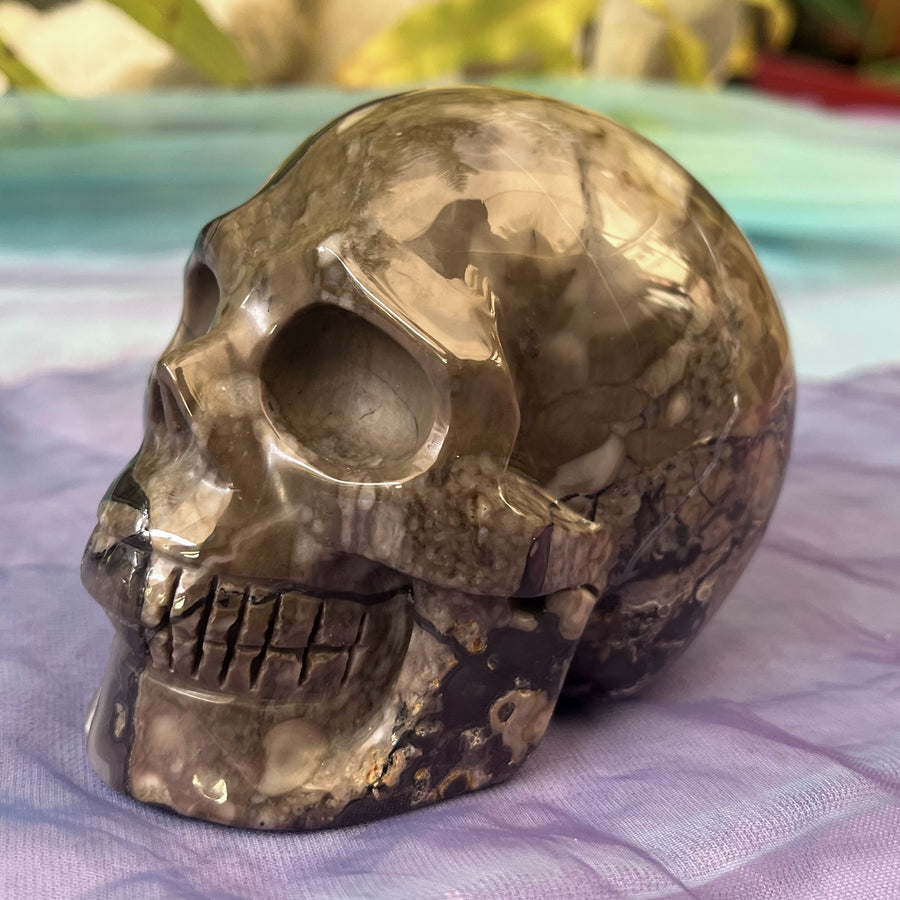 Skull Volcanic Agate  | Carpe Diem with Remi