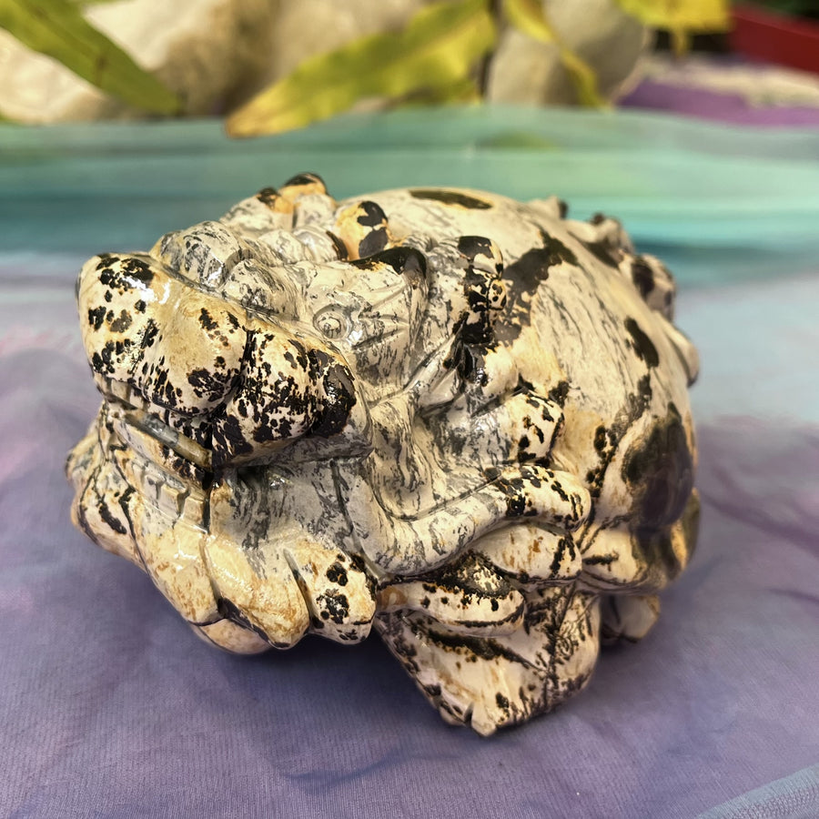 Dragon Tortoise Picture Jasper | Carpe Diem with Remi