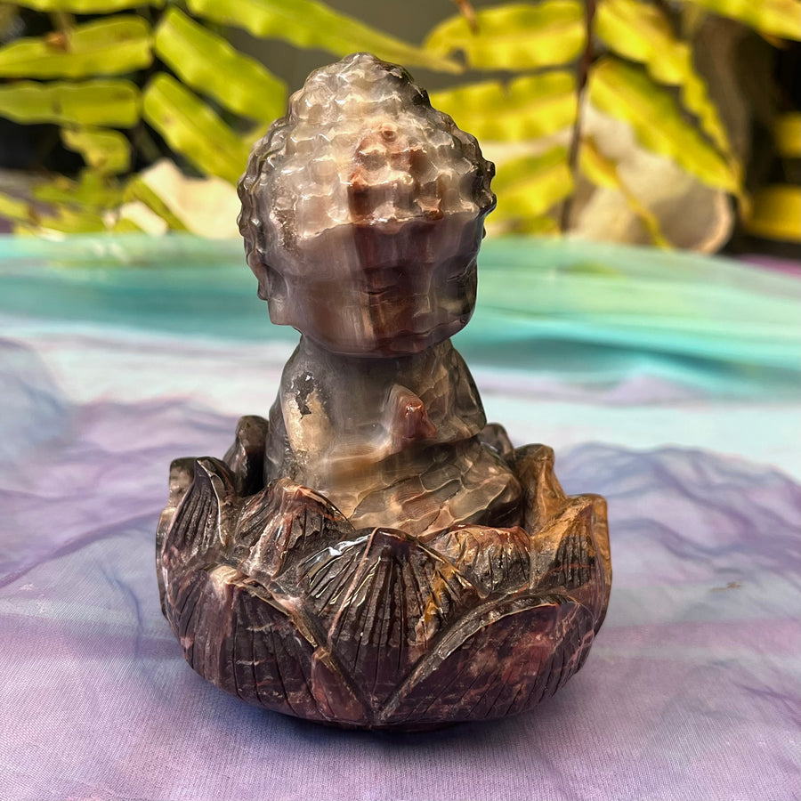Baby Buddha on Lotus Stand | Carpe Diem with Remi