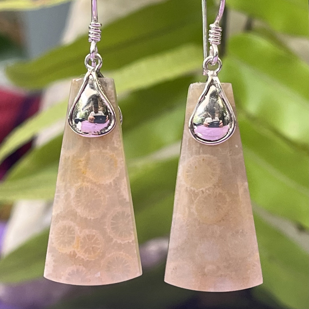 Earrings Fossil Coral 5.1 cm