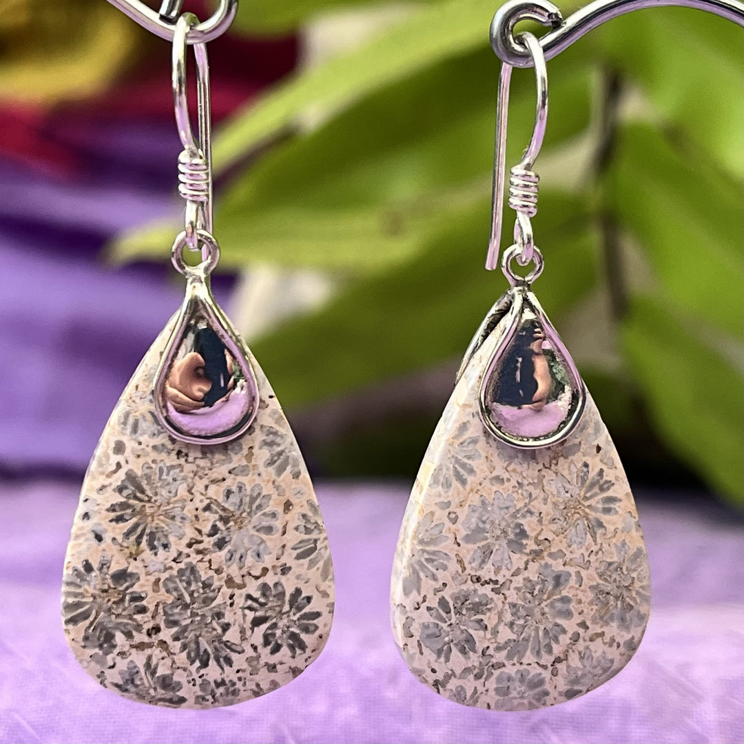 Earrings Fossil Coral Teardrops Indonesia 4.6 cm