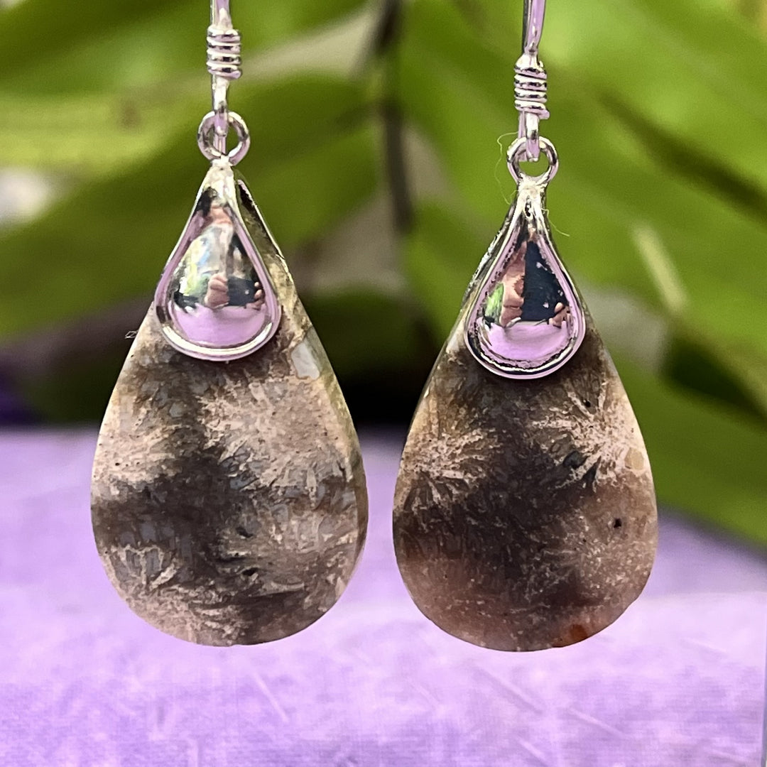 Earrings Fossil Coral Teardrop 4.5 cm
