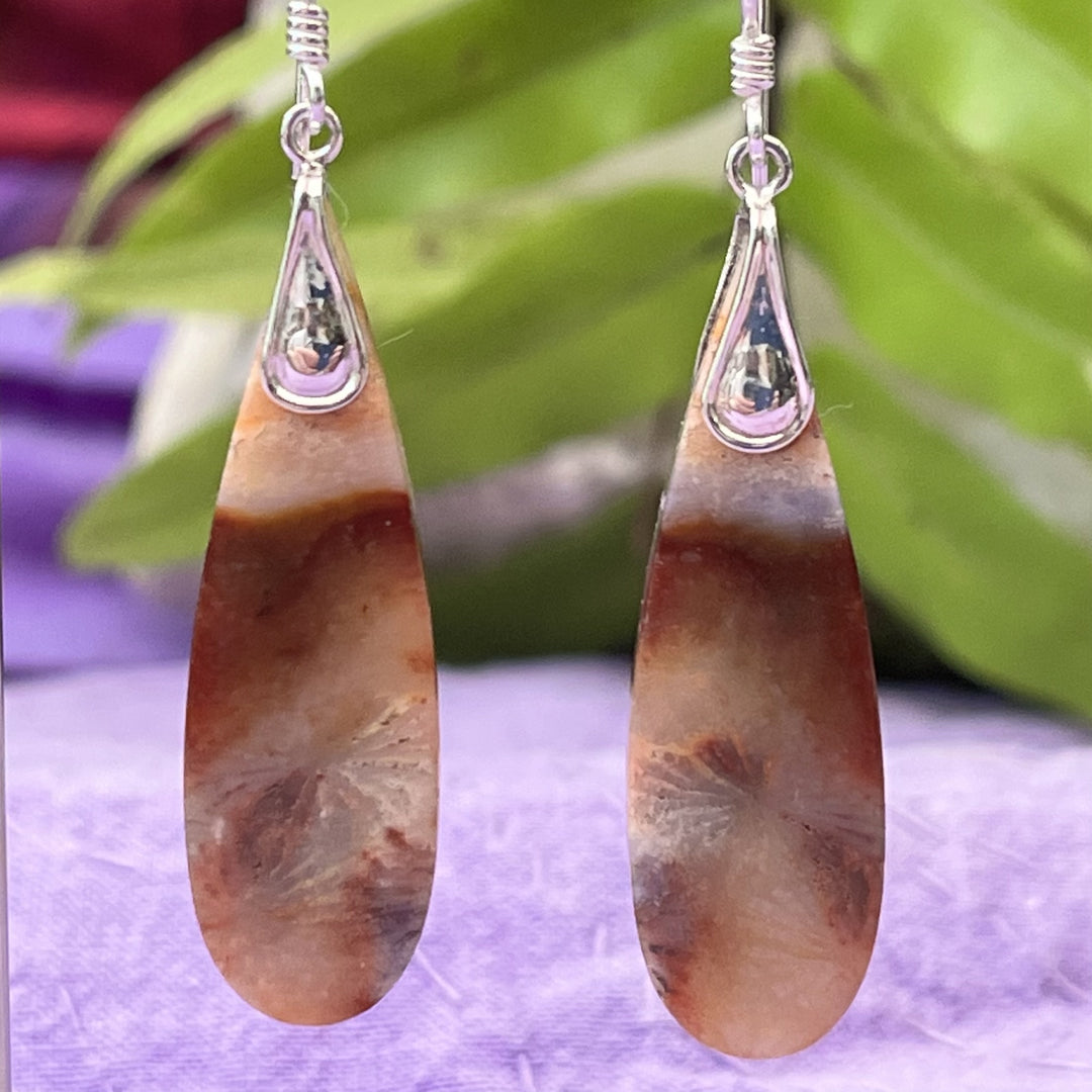 Earrings Fossil Coral Teardrop 5.8 cm