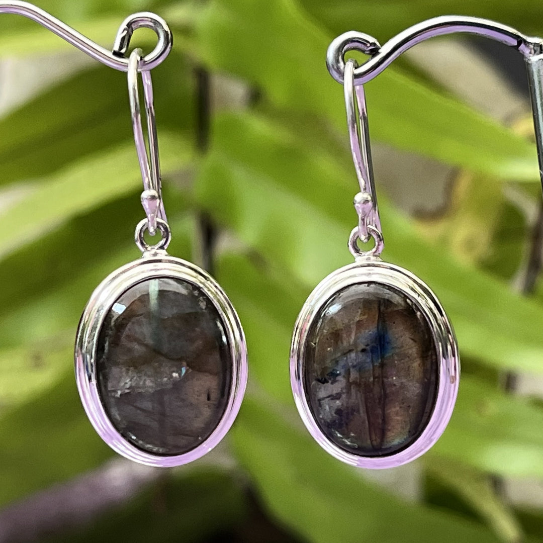 Earrings Labradorite Gold Blue Flashes Oval 3.5 cm