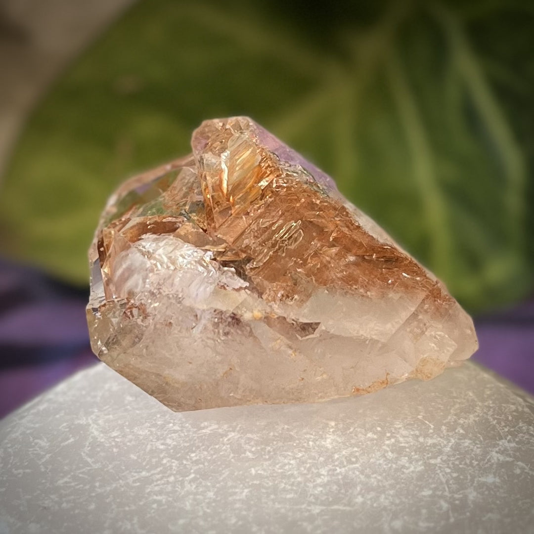 Petroleum and  Skeletal Quartz 4.8 cm