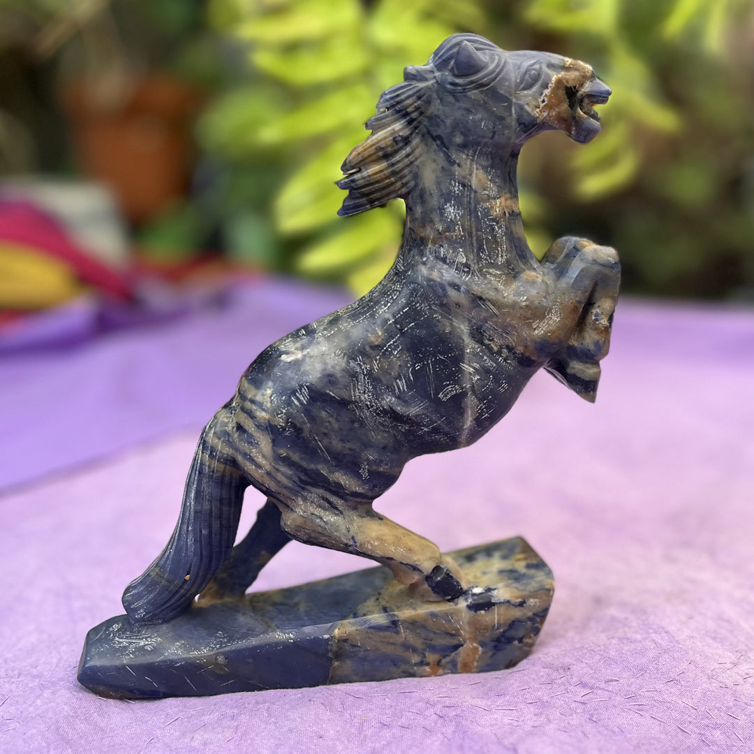Horse Rearing Sunset Sodalite - Instore Only | Carpe Diem With Remi