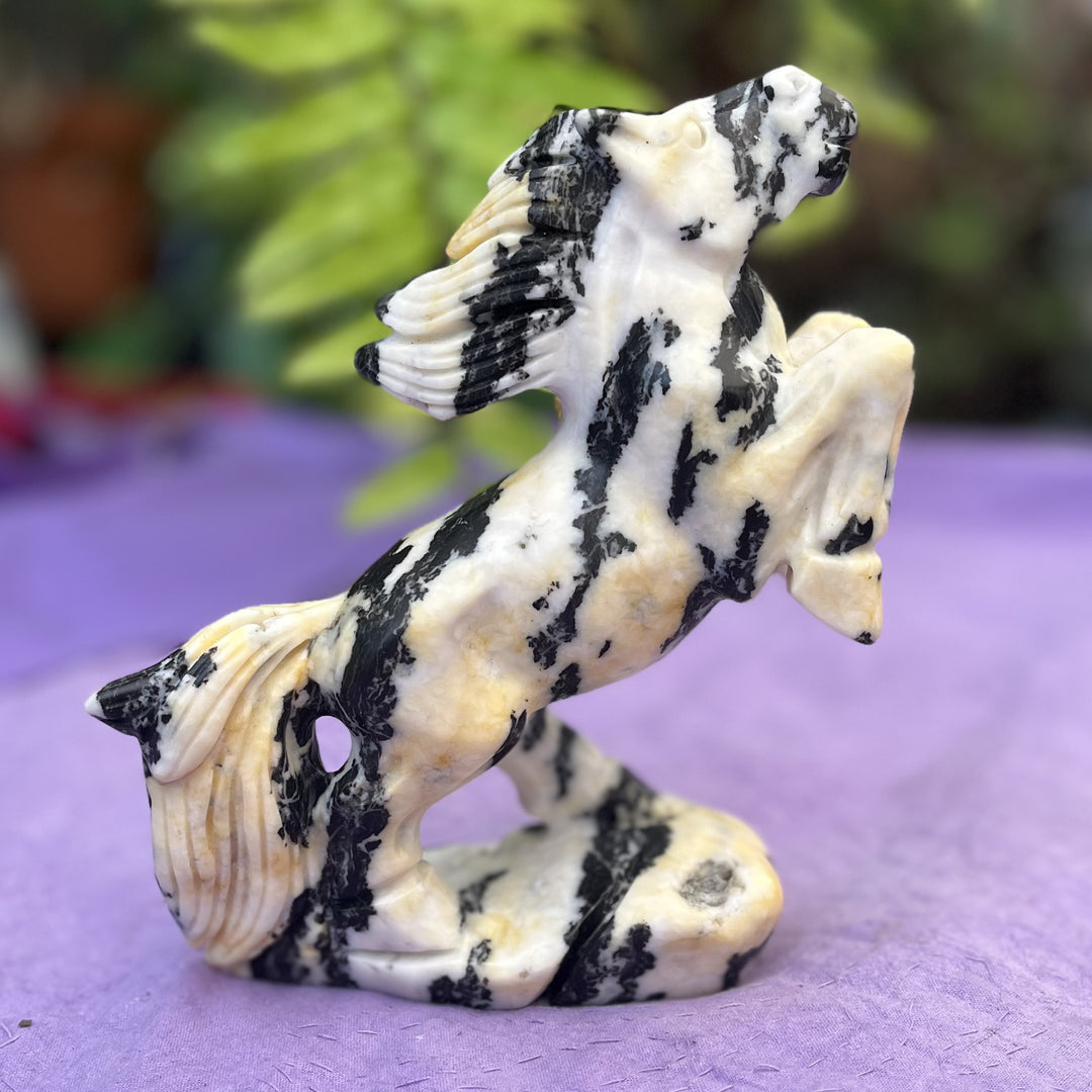 Horse Rearing Yellow Zebra Calcite - Instore Only | Carpe Diem With Remi