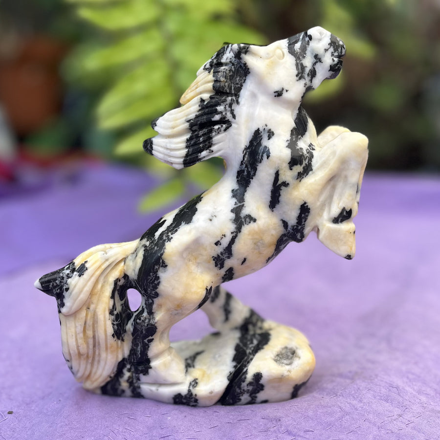 Horse Rearing Yellow Zebra Calcite - Instore Only | Carpe Diem With Remi