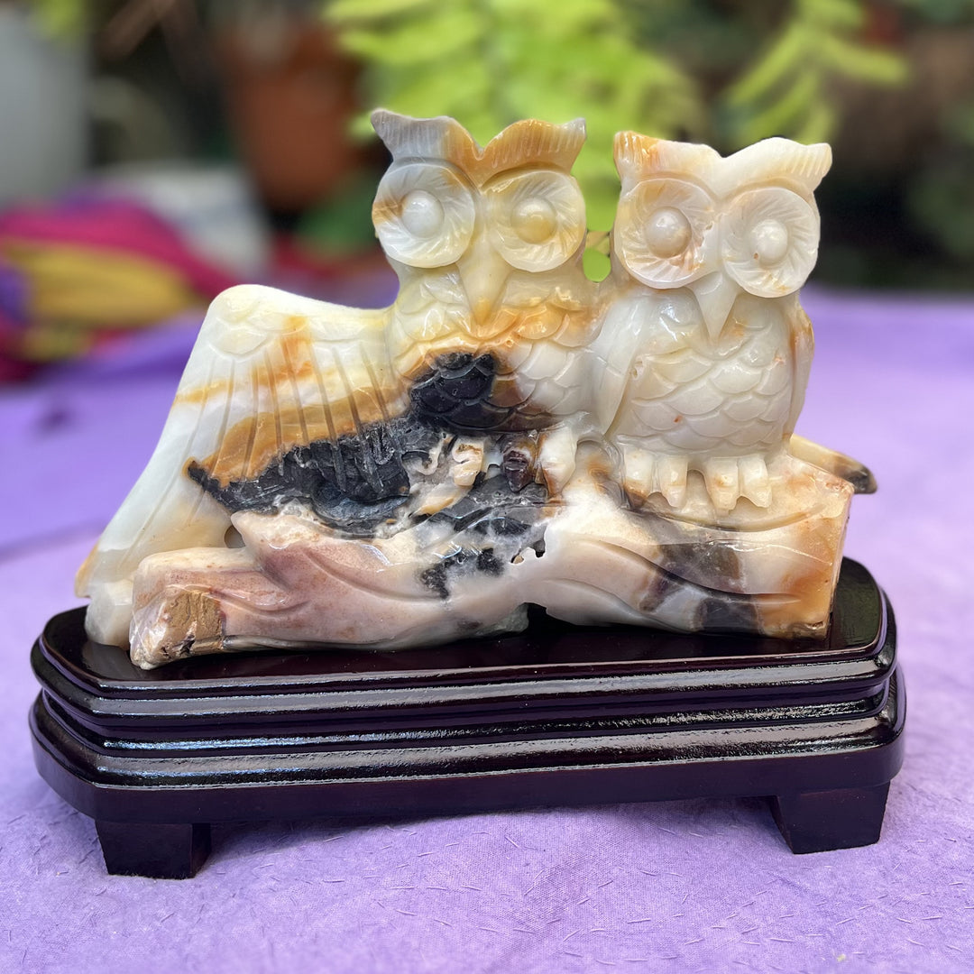Owls Caribbean Calcite on Wooden Stand | Carpe Diem With Remi