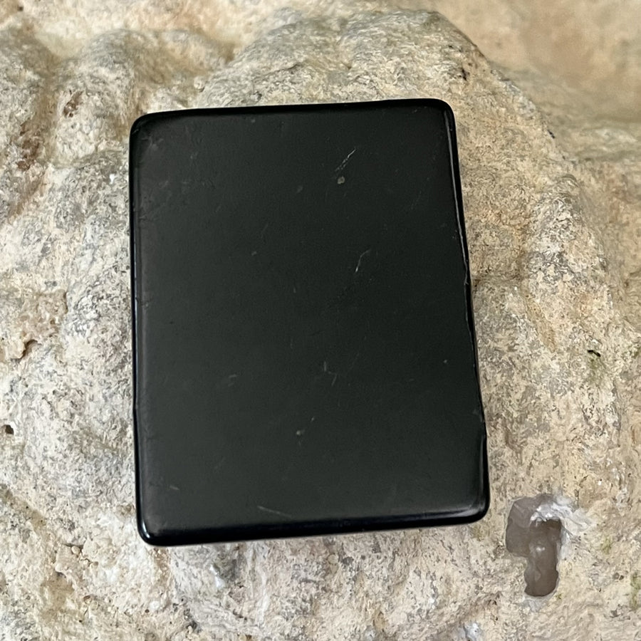 Shungite Phone Protectors XL | Carpe Diem With Remi