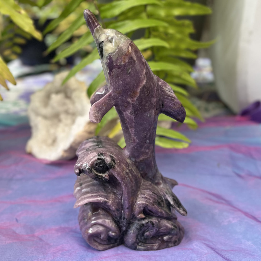 Dolphin Chaorite Collector's Piece