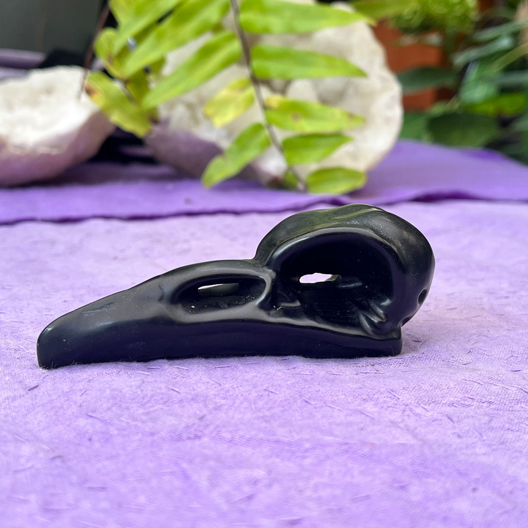 Raven Skull Black Obsidian Matte 10 cm