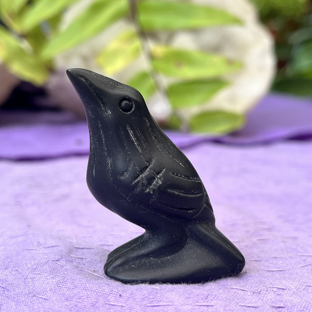 Raven Black Obsidian 10 cm