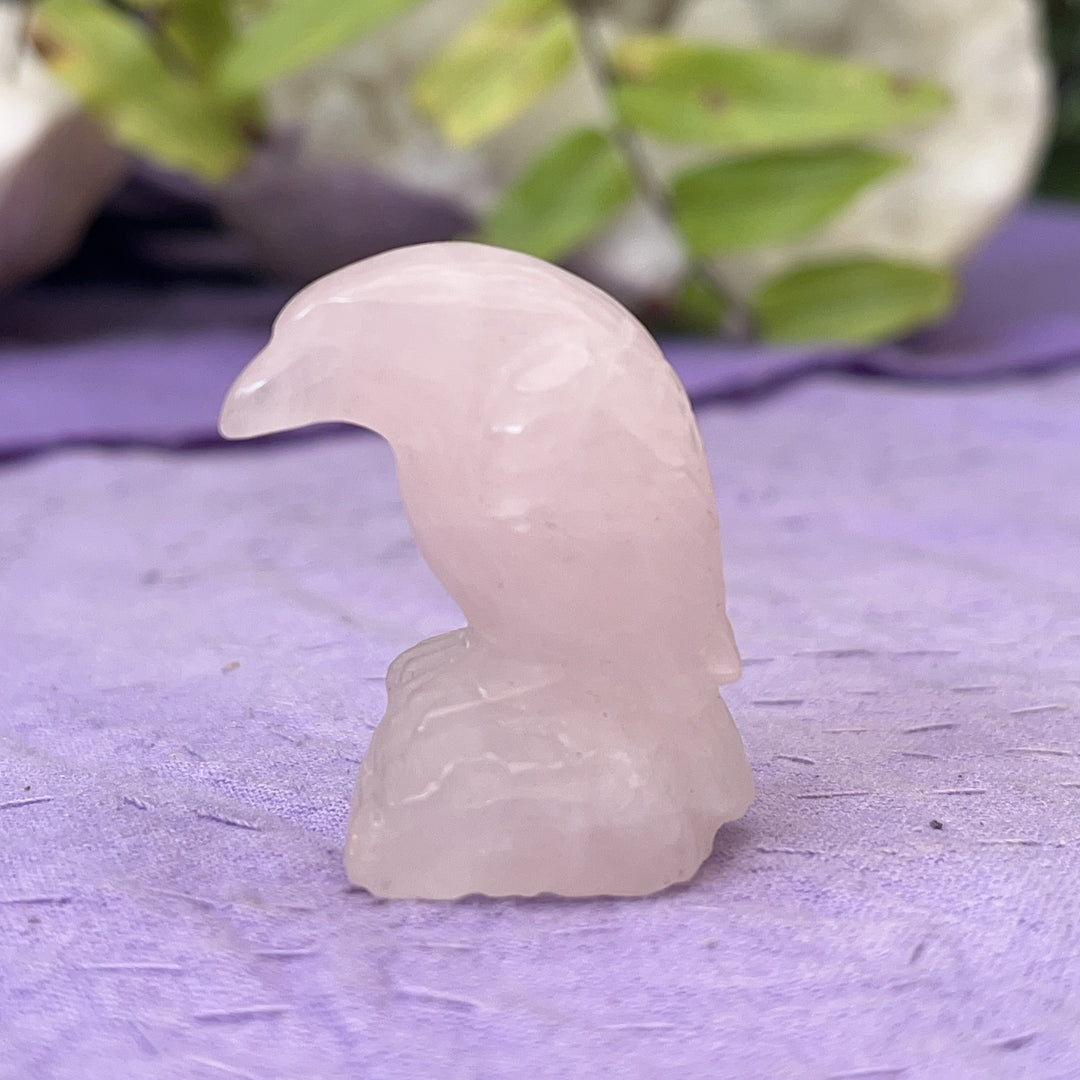 Raven Rose Quartz Mini