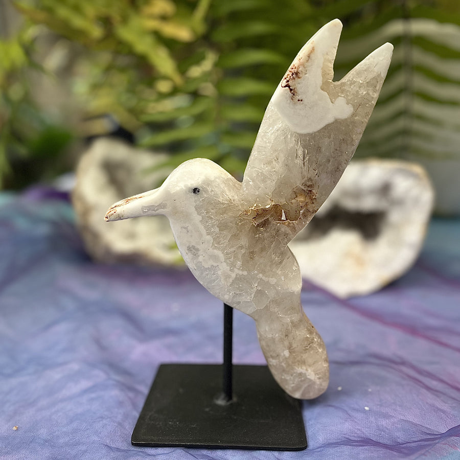 Hummingbird Druzy Quartz on Stand | Carpe Diem with Remi