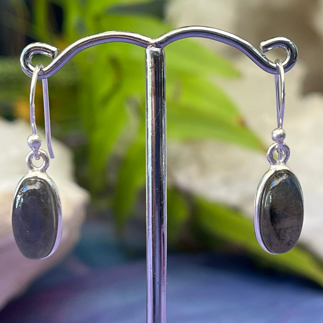 Earrings Labradorite Oval 2.70 cm