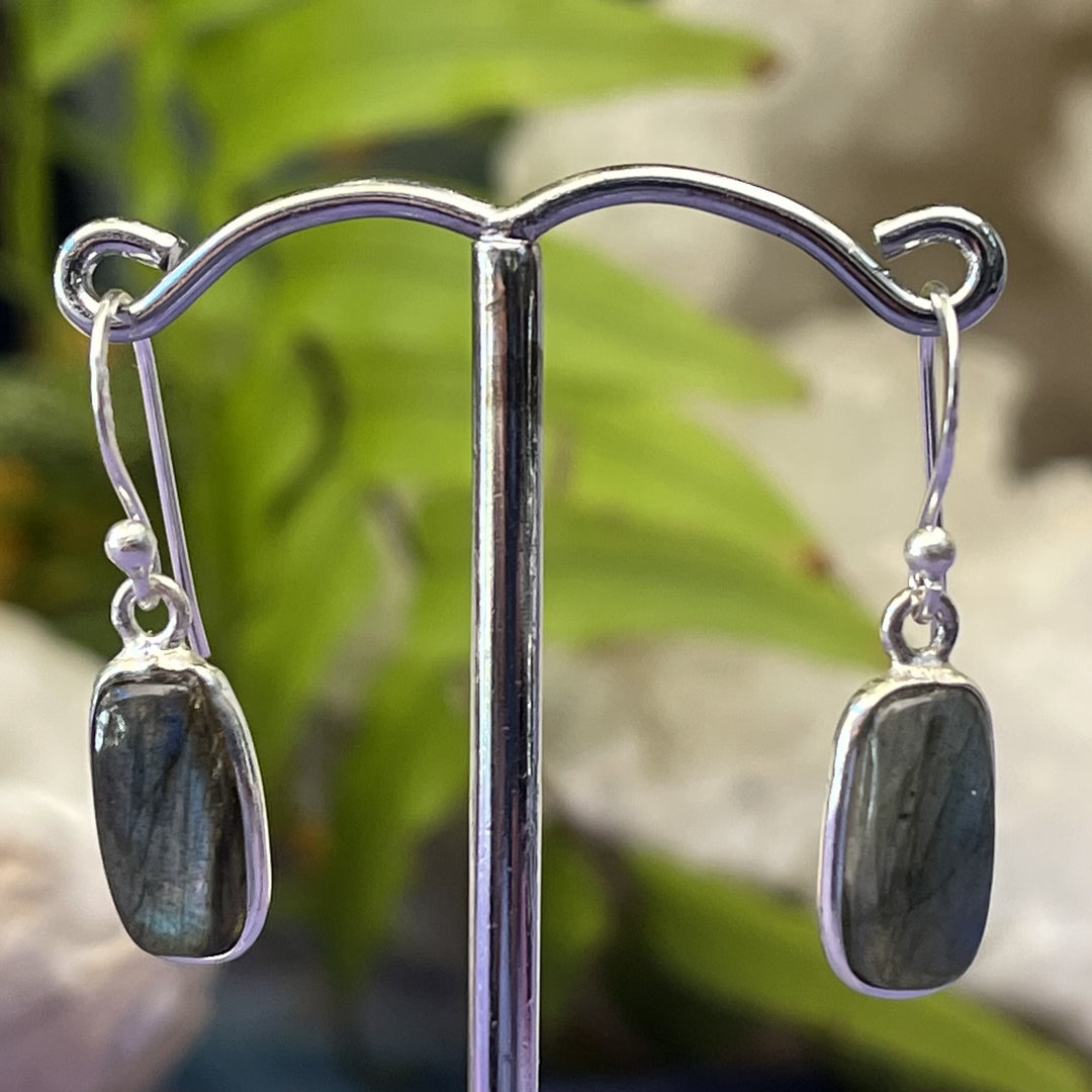 Earrings Labradorite Rectangle 2.80 cm