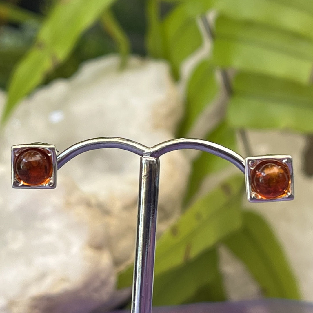 Earrings Amber Round Studs 0.4 cm