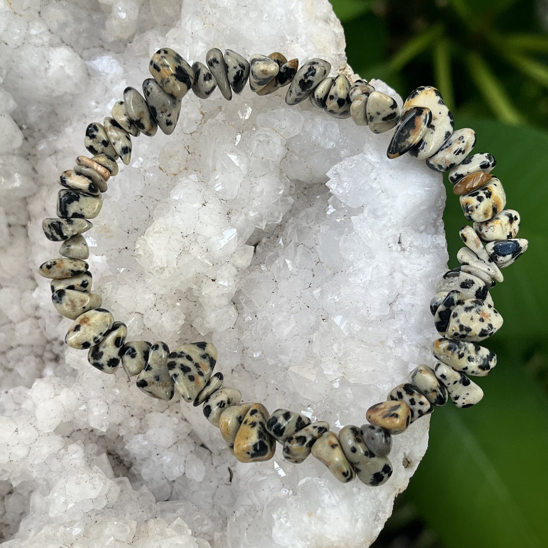 Bracelet Dalmatian Jasper Chip