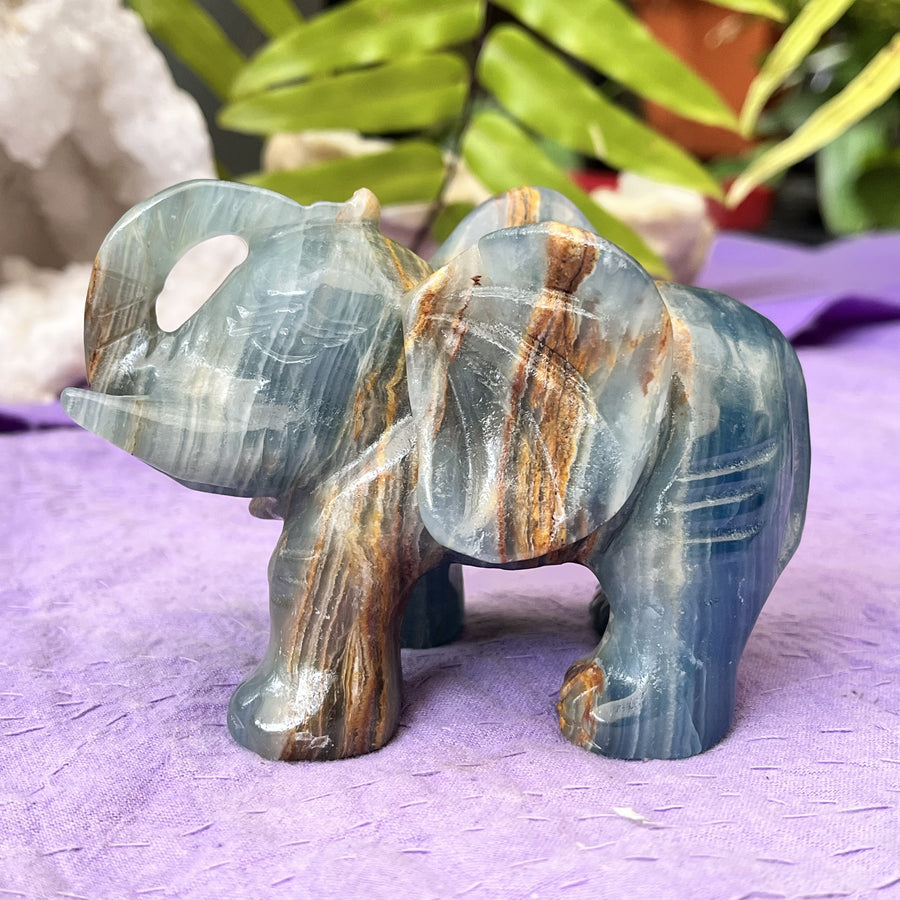 Elephant Blue Onyx 11 cm | Carpe Diem With Remi