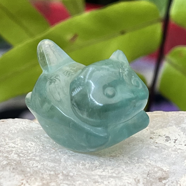 Kitty Fluorite Mini 3.1 cm