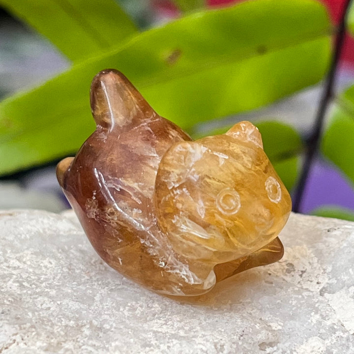 Kitty Fluorite Mini 3.1 cm