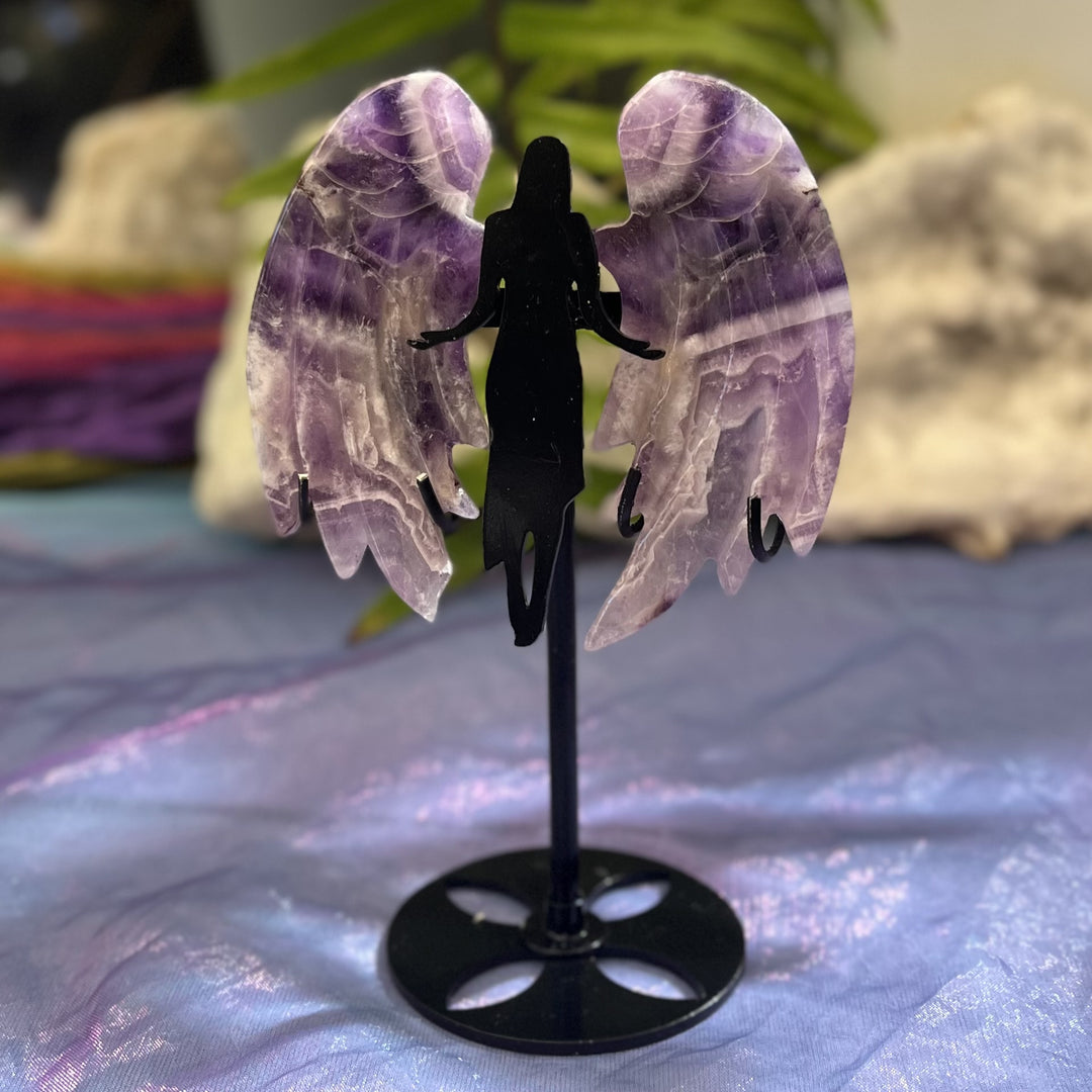 Angel Wings on Stand Dream Amethyst | Carpe Diem With Remi