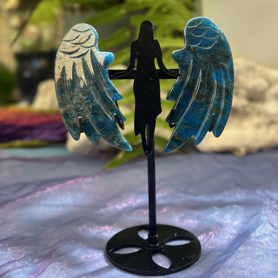 Angel Wings on Stand Blue Apatite | Carpe Diem With Remi