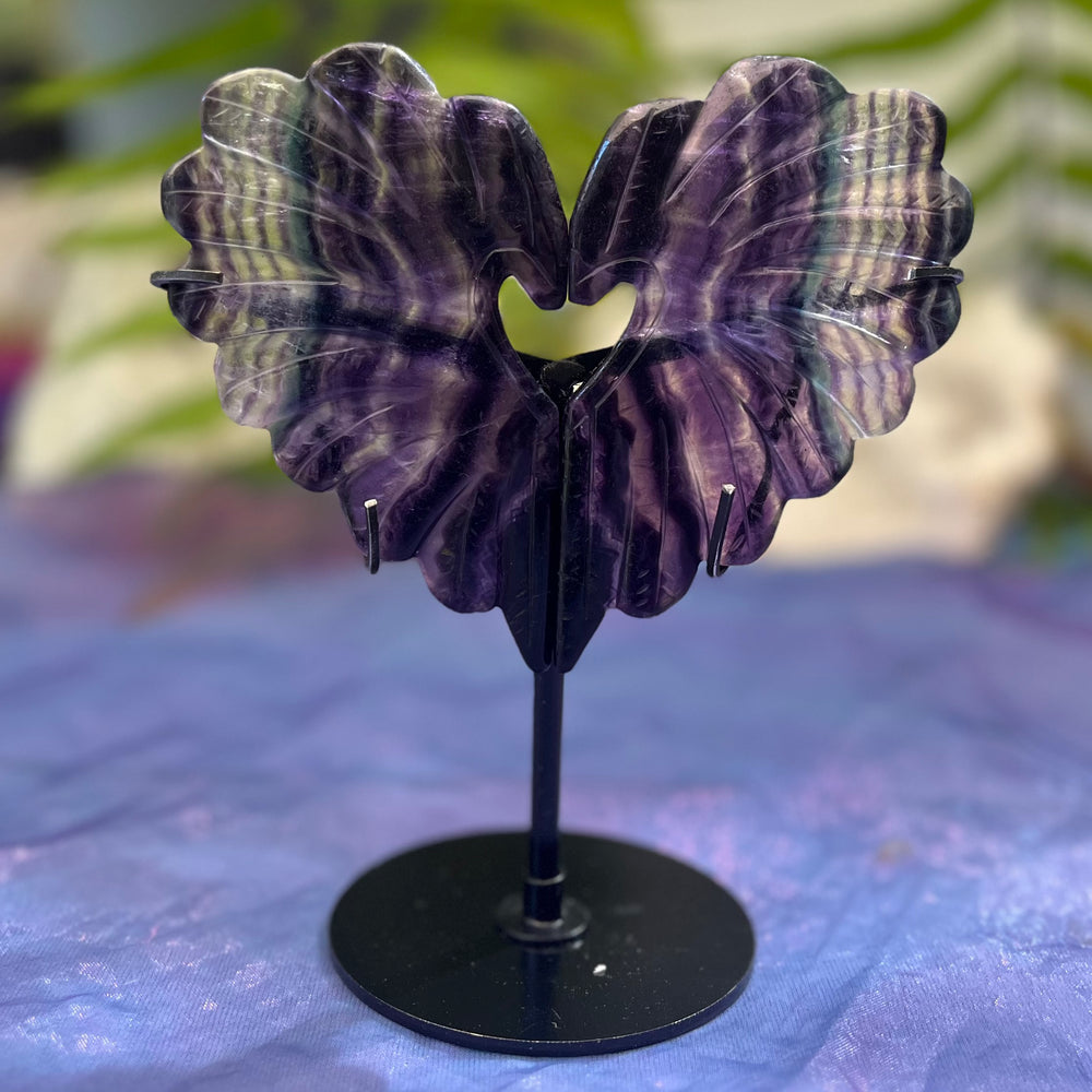 Winged Heart Fluorite on Stand | Carpe Diem With Remi