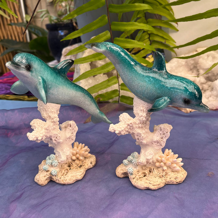 Dolphin on Coral 15 cm