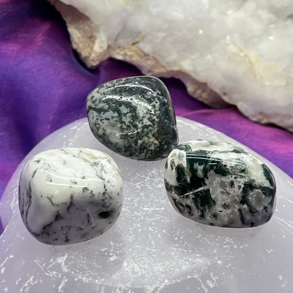 Tree Agate Tumble | Carpe Diem With Remi