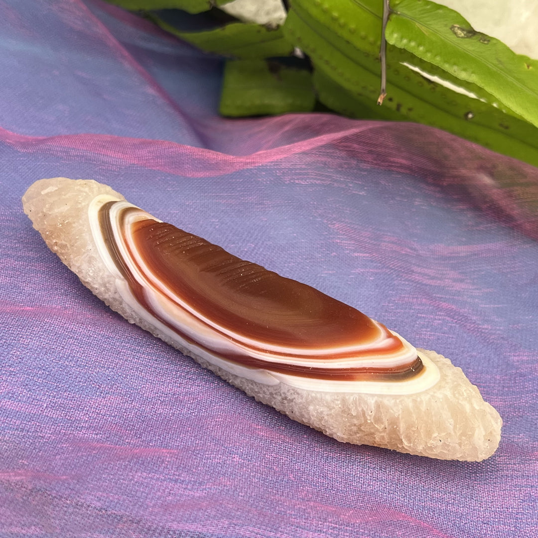 Wand from the Gobi Desert Natural Raw 9.2 cm