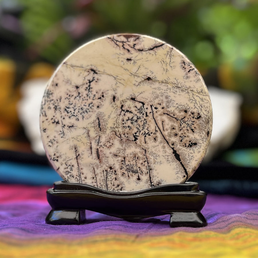 Picture Jasper Scene on Stand Light Forest | Carpe Diem With Remi