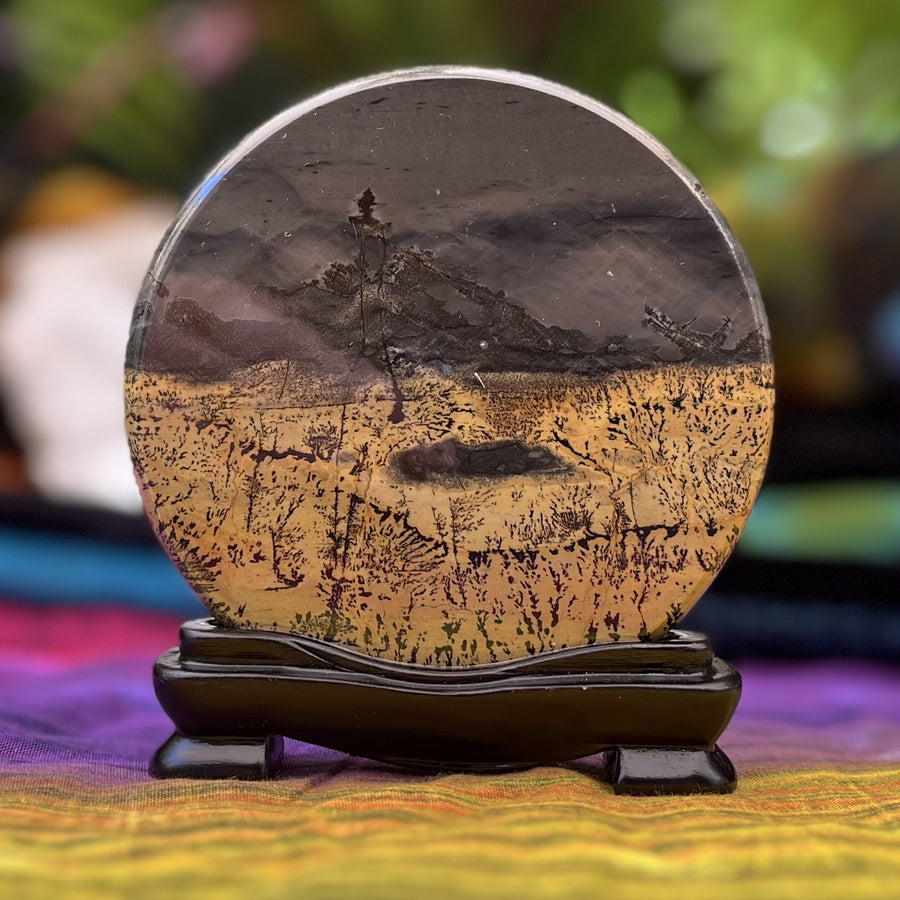 Picture Jasper Scene on Stand Night Field | Carpe Diem With Remi
