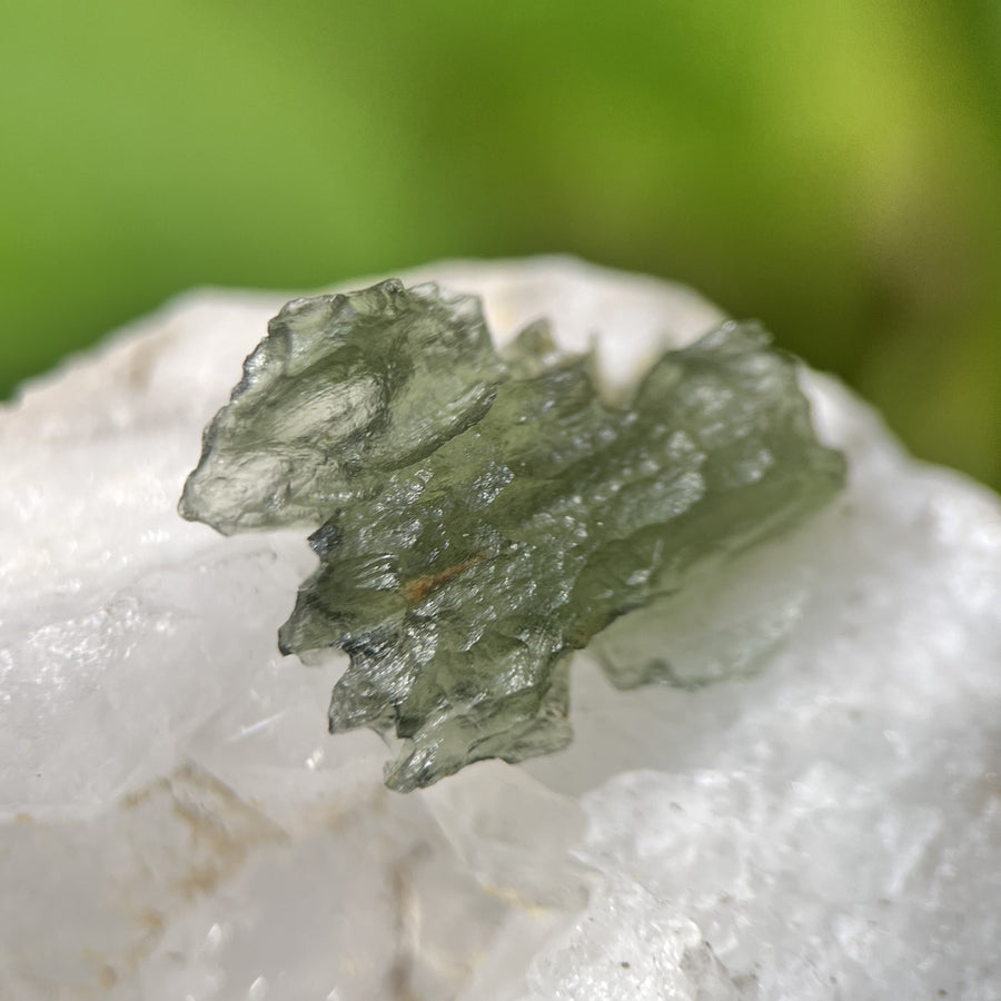Moldavite Besednice Raw Specimen 1g | Carpe Diem With Remi