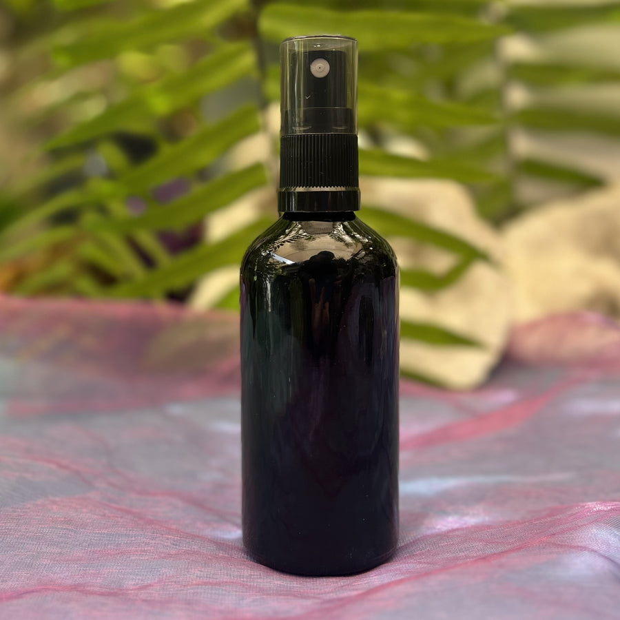 Spray Bottle with Mister 100 ml | Carpe Diem with Remi