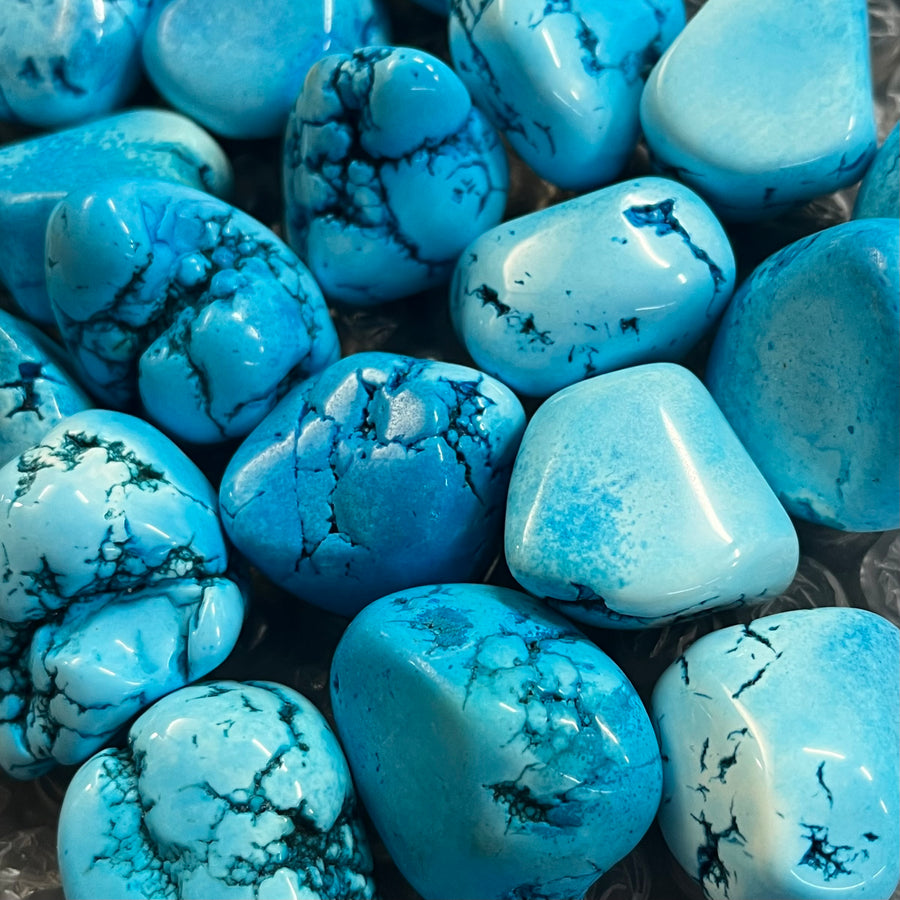 Howlite Turquoise Tumble Stone | Carpe Diem With Remi