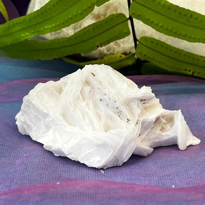 Angel Wing Calcite Clusters Raw Natural Pieces | Carpe Diem With Remi