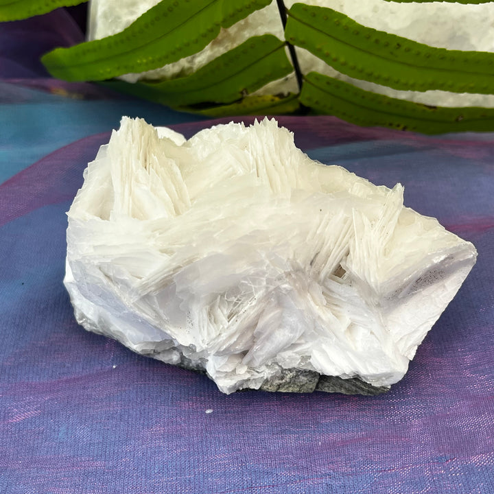 Angel Wing Calcite Clusters Raw Natural Pieces | Carpe Diem With Remi