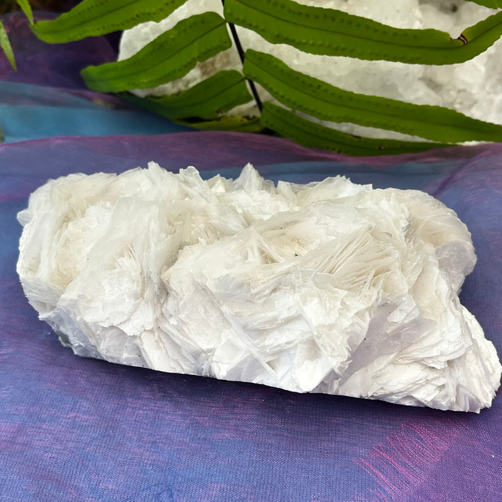 Angel Wing Calcite Clusters Raw Natural Pieces | Carpe Diem With Remi