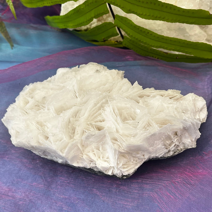 Angel Wing Calcite Clusters Raw Natural Pieces | Carpe Diem With Remi