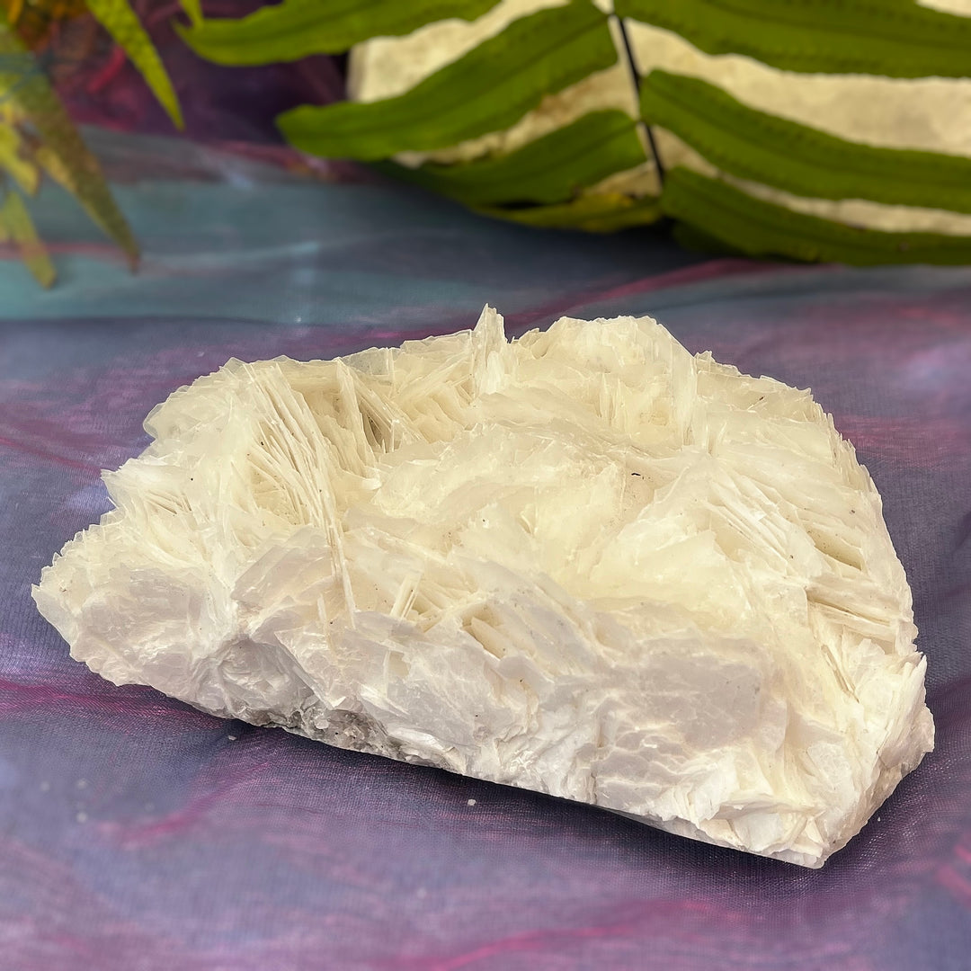 Angel Wing Calcite Clusters Raw Natural Pieces | Carpe Diem With Remi