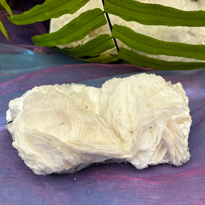 Angel Wing Calcite Clusters Raw Natural Pieces | Carpe Diem With Remi