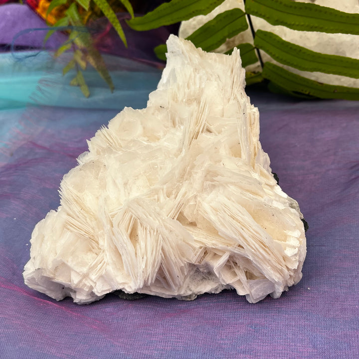 Angel Wing Calcite Clusters Raw Natural Pieces | Carpe Diem With Remi