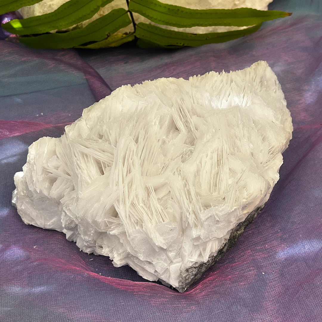 Angel Wing Calcite Clusters Raw Natural Pieces | Carpe Diem With Remi