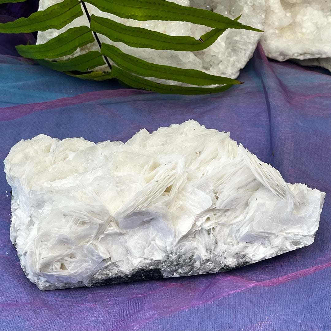 Angel Wing Calcite Clusters Raw Natural Pieces | Carpe Diem With Remi