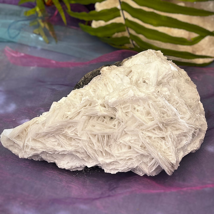 Angel Wing Calcite Clusters Raw Natural Pieces | Carpe Diem With Remi
