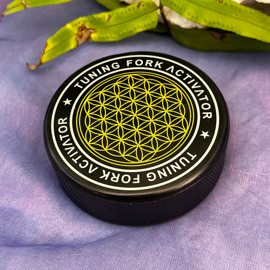 Activator Tuning Fork | Carpe Diem With Remi